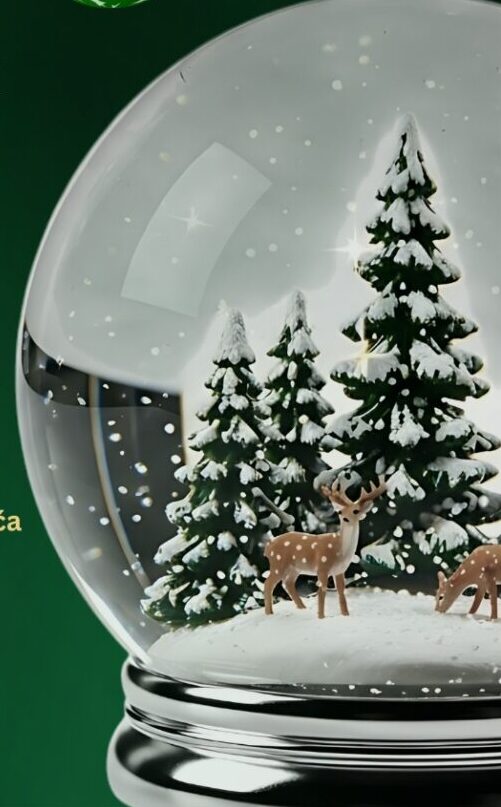 Čarolija zajedništva